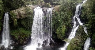 15 Curug di Banyumas yang Wajib Dikunjungi 2026: Air Terjun Indah Dekat Purwokerto